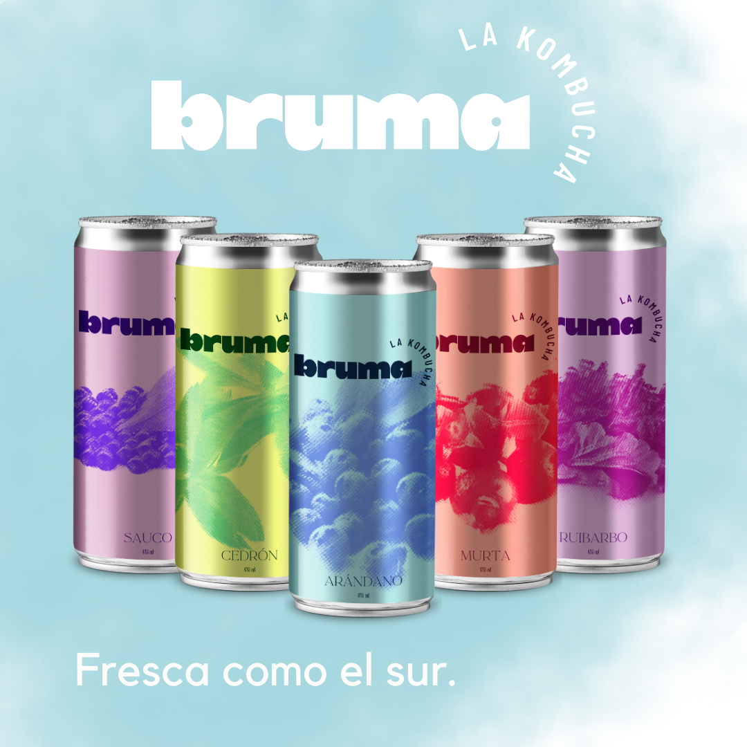Kombucha BRUMA