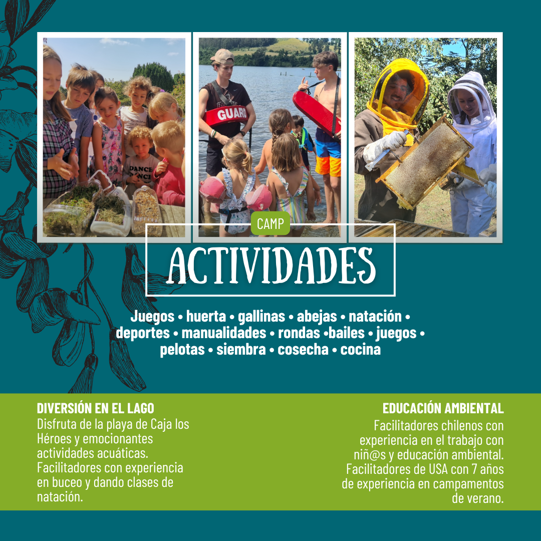 SUMMERCAMP MANTO VERDE