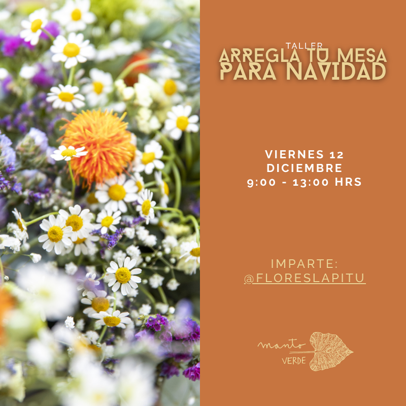 Taller Arregla tu mesa para navidad