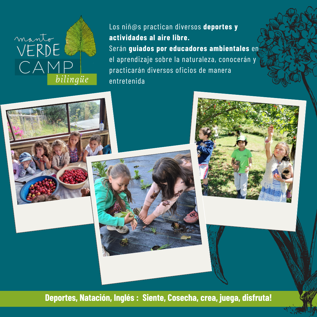 SUMMERCAMP MANTO VERDE