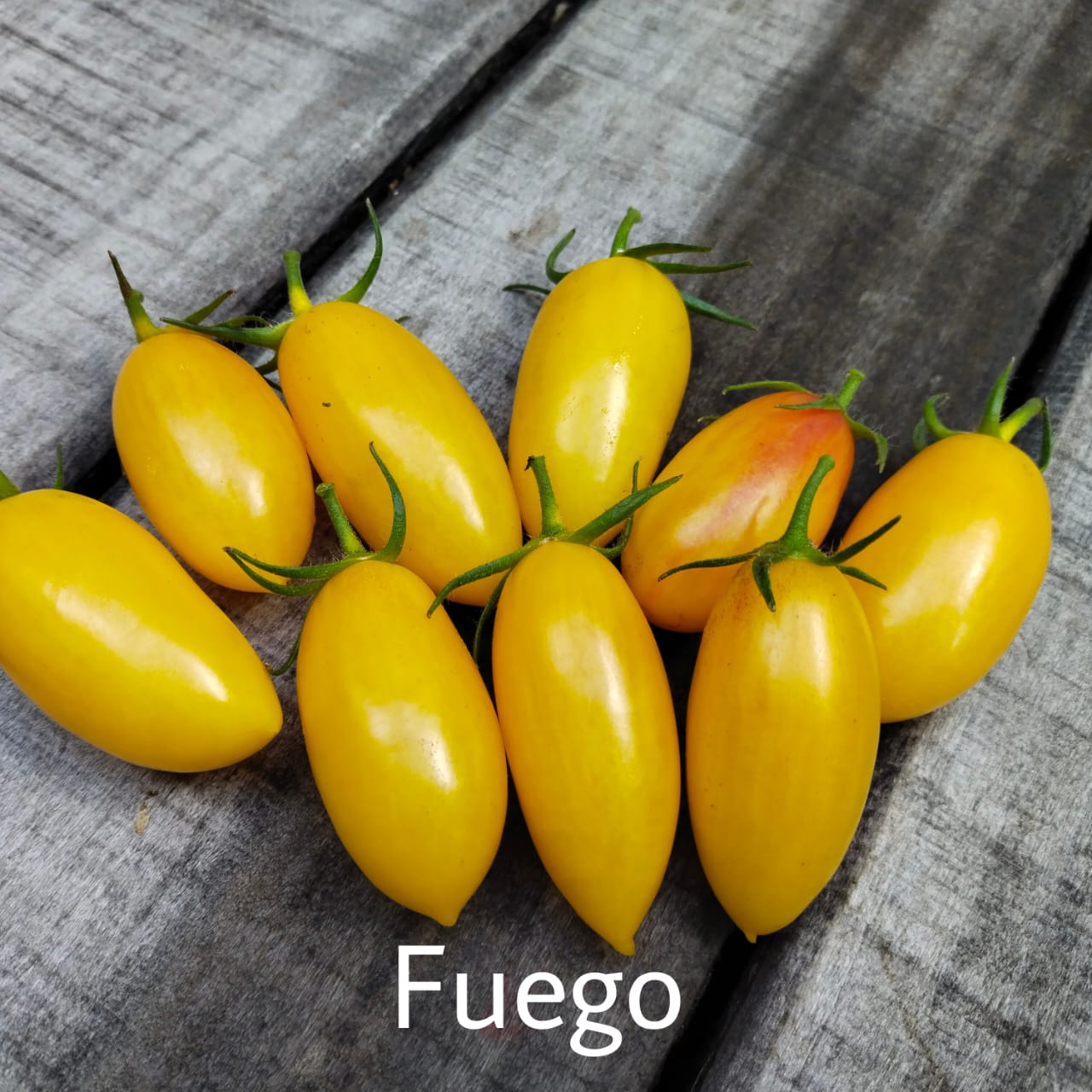 Tomate Fuego
