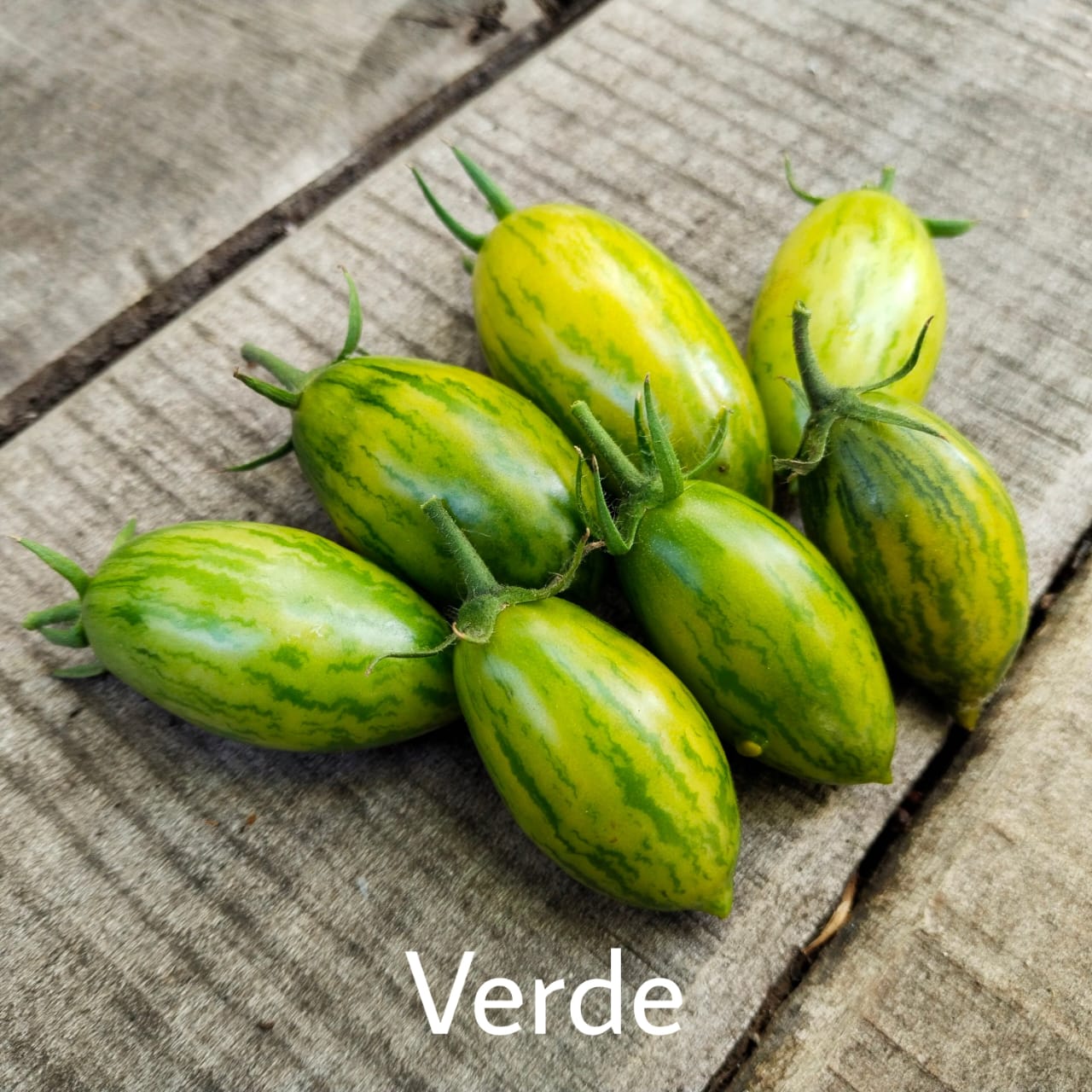 Tomate Verde