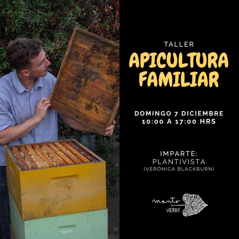 TALLER APICULTURA FAMILIAR