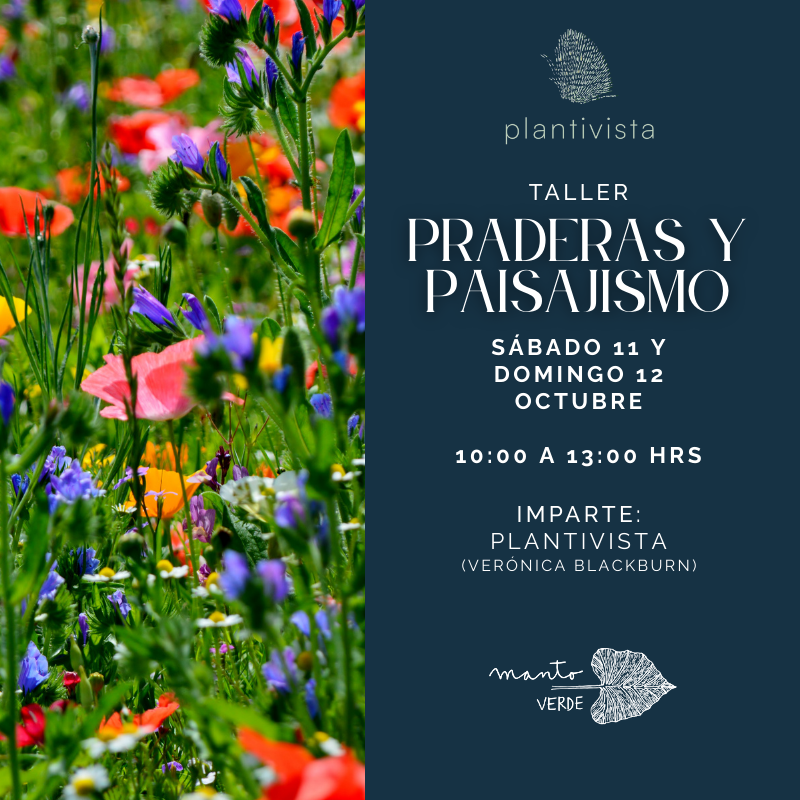 TALLER PRADERAS Y PAISAJISMO