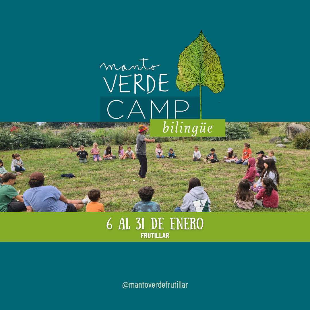 SUMMERCAMP MANTO VERDE