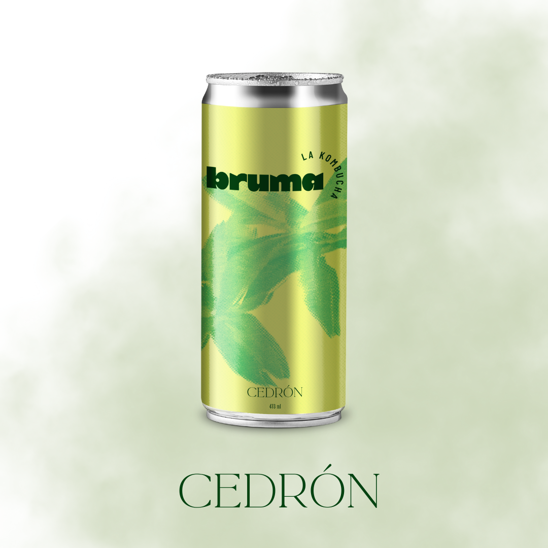Kombucha BRUMA