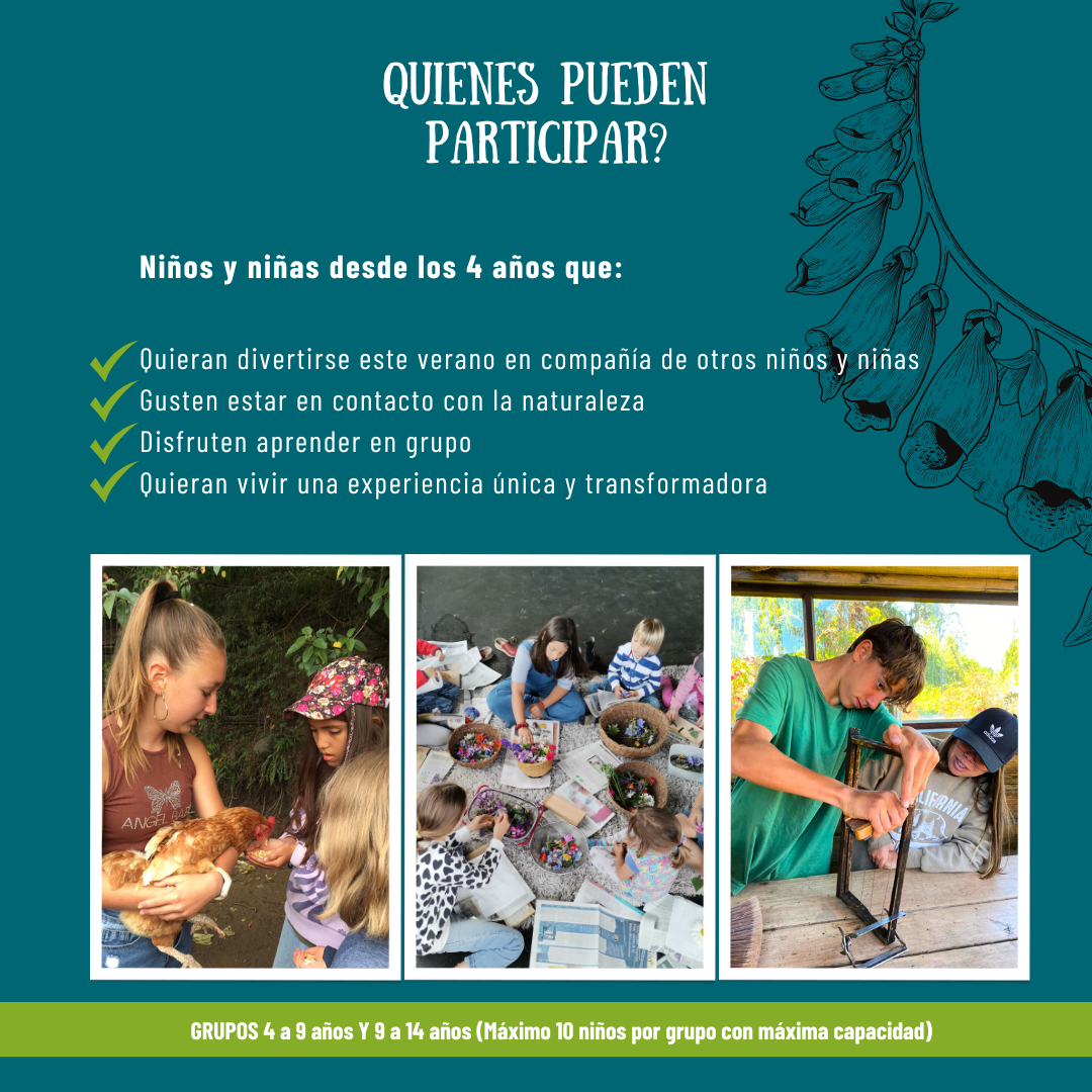 SUMMERCAMP MANTO VERDE