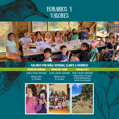 SUMMERCAMP MANTO VERDE