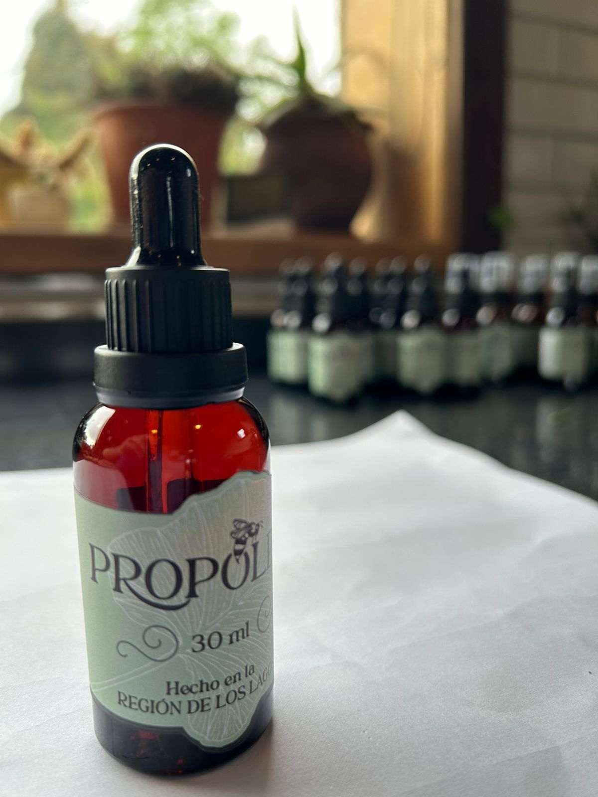 Propóleo
