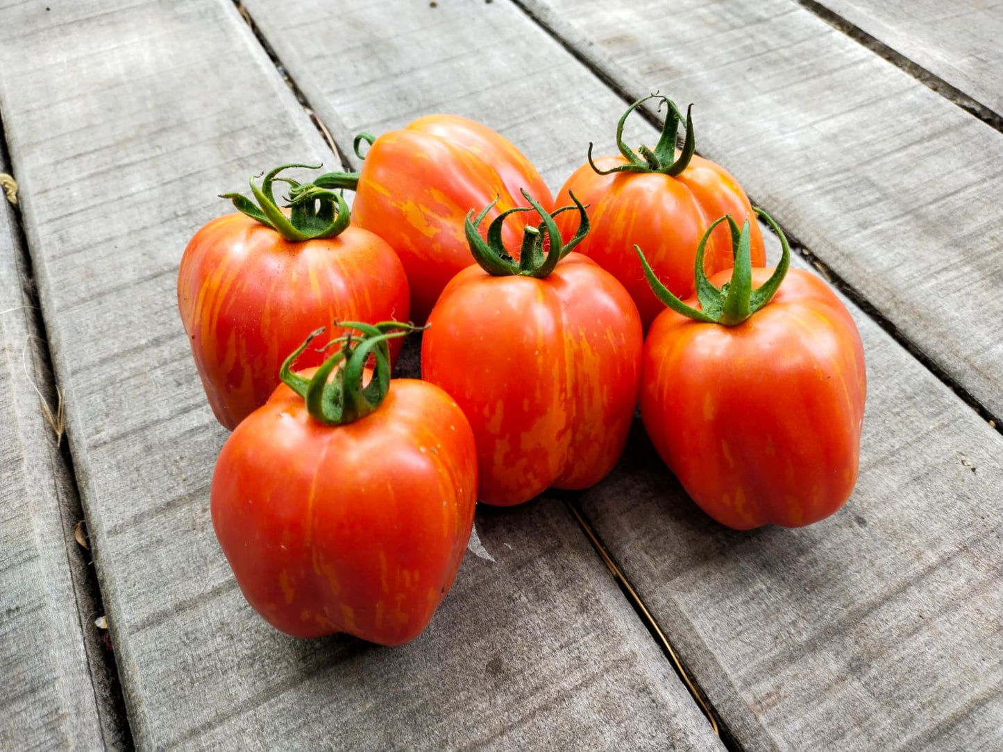Tomate Manzana