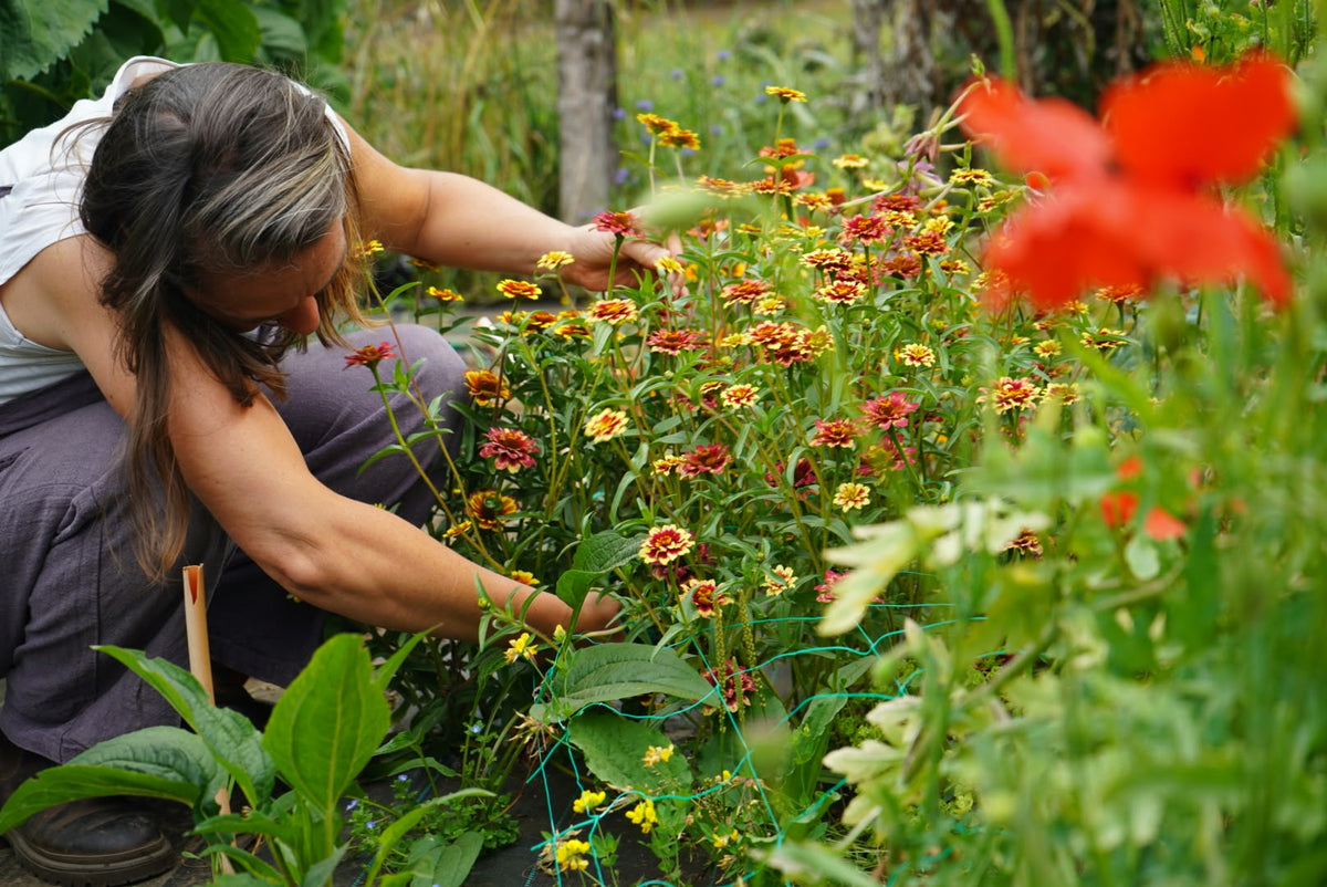 Visita Jardín de Flores