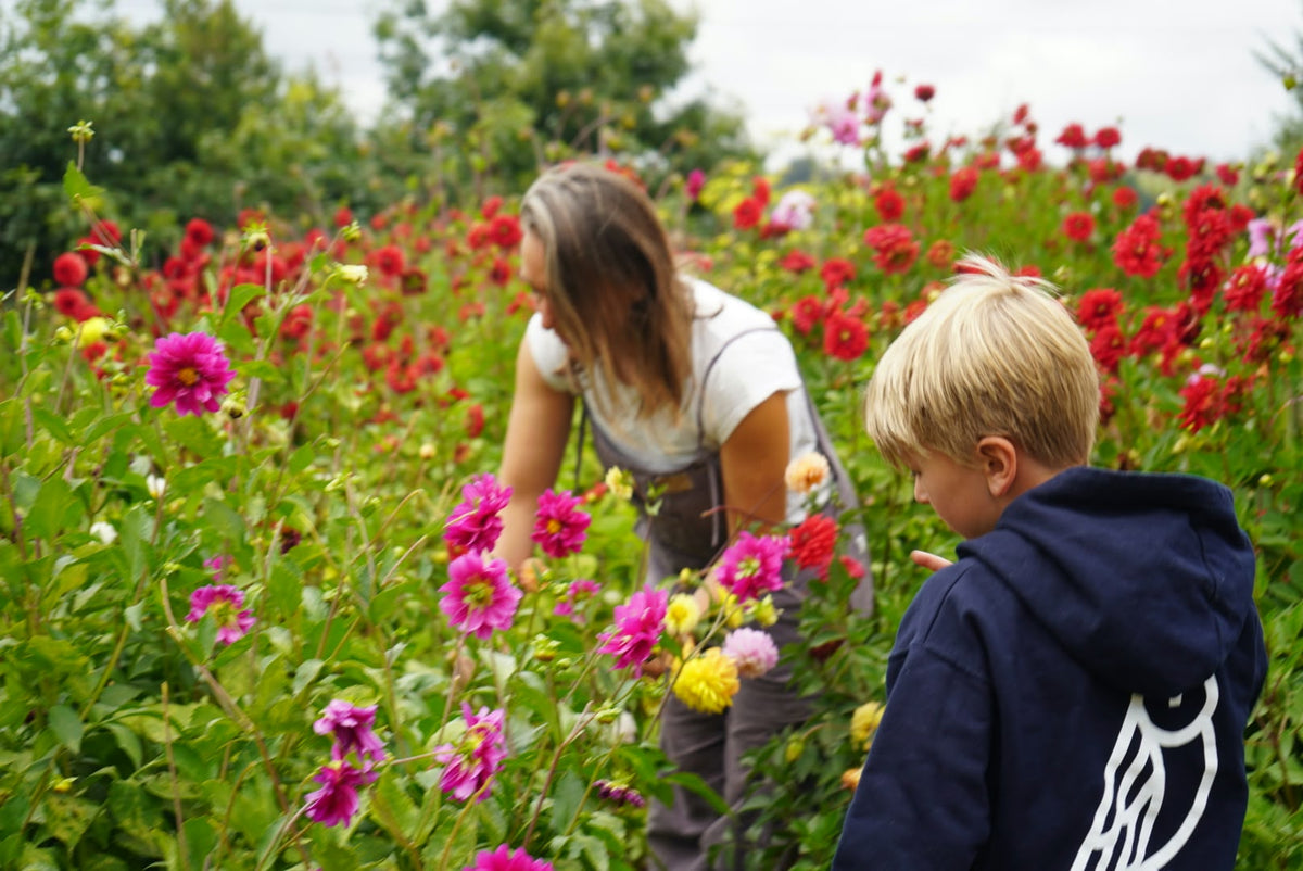 Visita Jardín de Flores