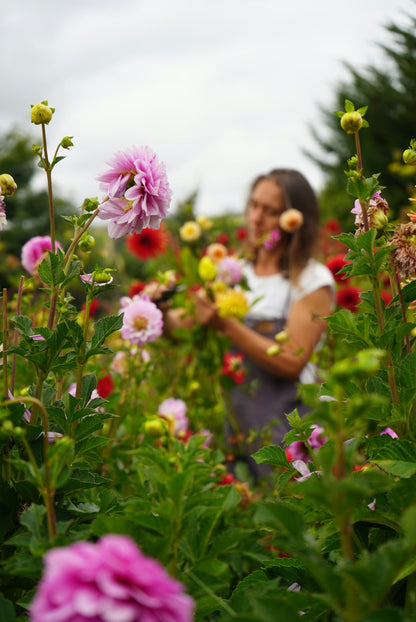 Visita Jardín de Flores