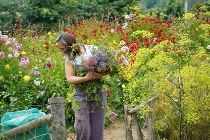 Visita Jardín de Flores