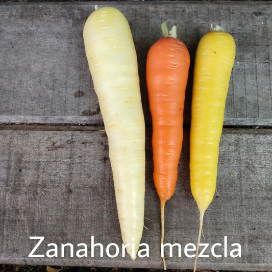 Zanahoria Mezcla