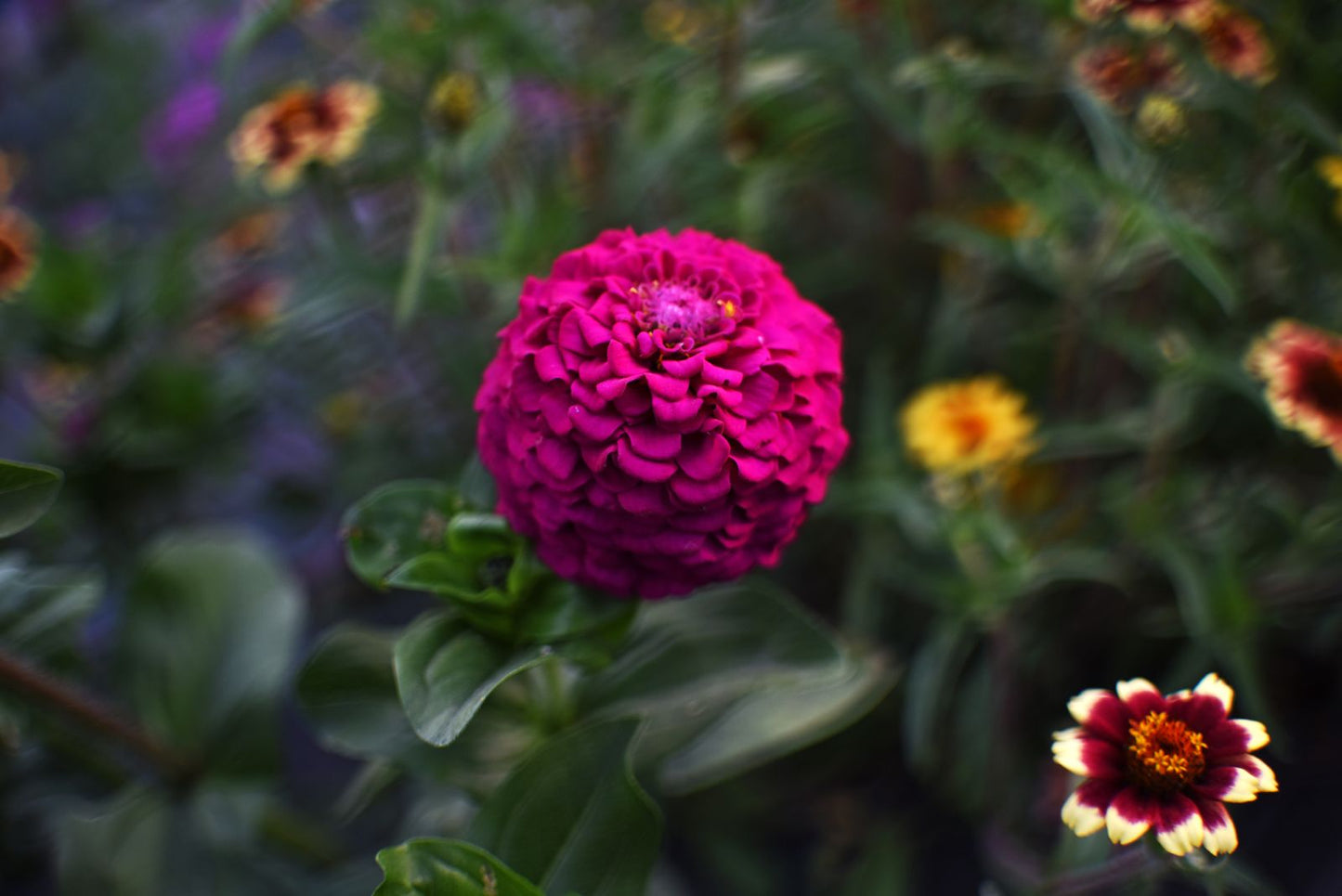 Taller Jardín de flores