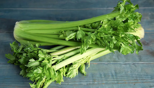 Apio Verde Pascal