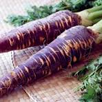 Zanahorias Moradas
