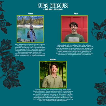 SUMMERCAMP MANTO VERDE