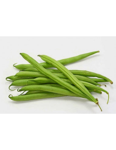 Poroto Verde de mata