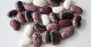 Porotos Pallares