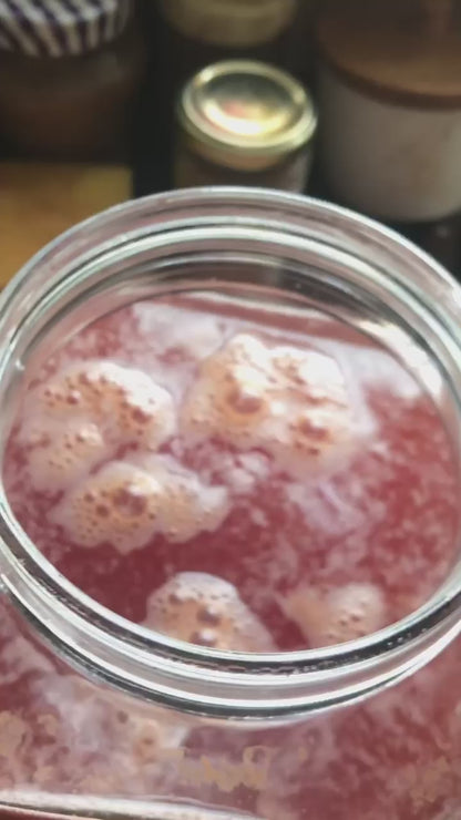 Taller de Fermentación Salvaje