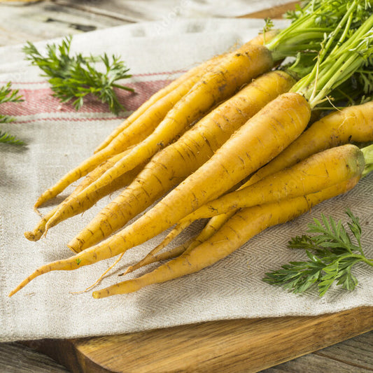 Zanahorias Amarillas